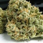 707 Headband