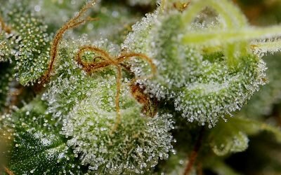 Death Star