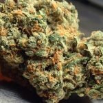 Green Crack