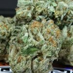 Larry OG