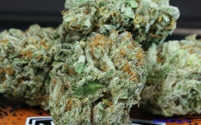 Larry OG
