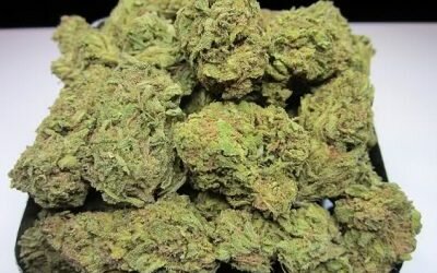 Strawberry Kush