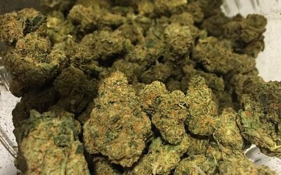 Khalifa Kush
